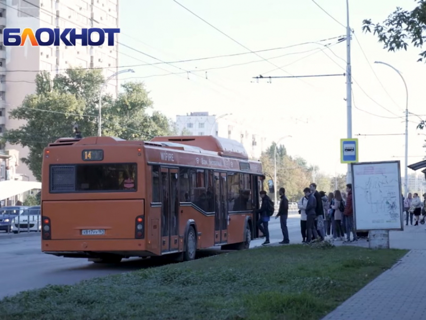 Бесплатный проезд или деньги: региональным льготникам Волгодонска напомнили о сроках приема заявлений