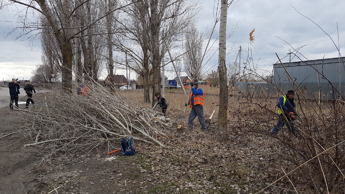 Очистка ливневок, уборка грязи и прошлогодней листвы: Волгодонск приводят в  порядок