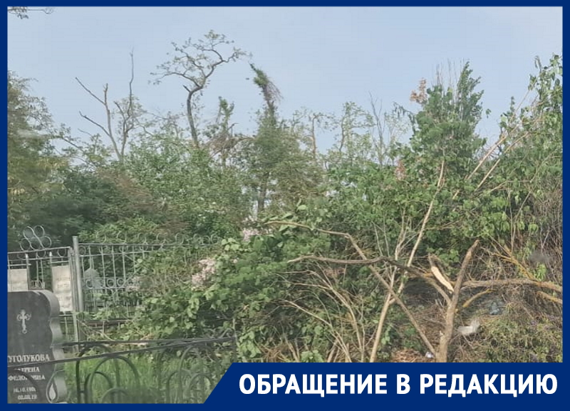И горожане, и коммунальщики: кто виноват в удручающем состоянии «старого кладбища» в Волгодонске