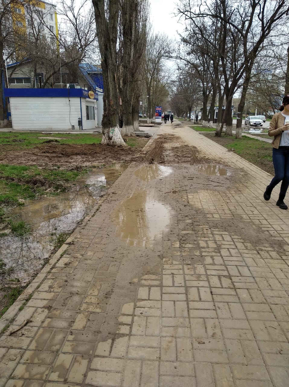 Здесь был Водоканал»: утопающий в грязи тротуар показали жители Волгодонска