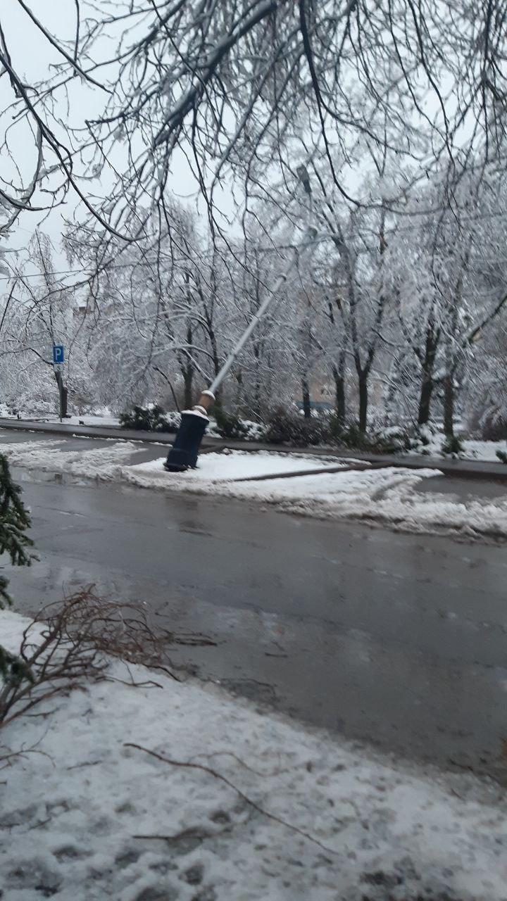 Поваленные деревья, поврежденные автомобили и дома без света: волгодонцы  называют происходящее «апокалипсисом»