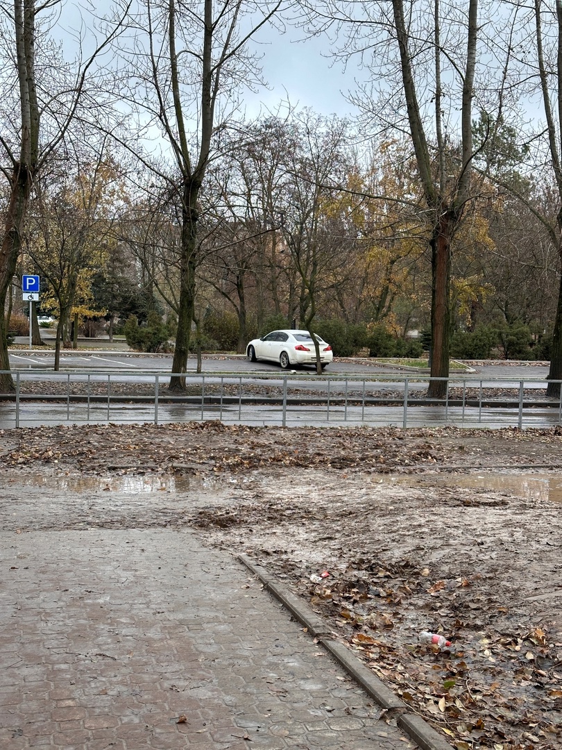 Непролазная грязь в самом центре города: волгодонцы назвали позором  состояние улицы Ленина