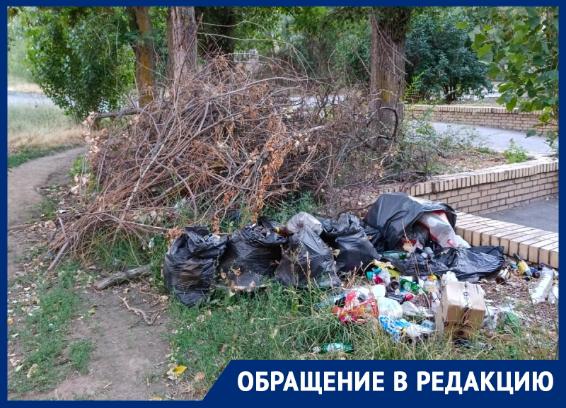 «Где штрафы за неубранную территорию?»: жители В-7 обратились к властям Волгодонска