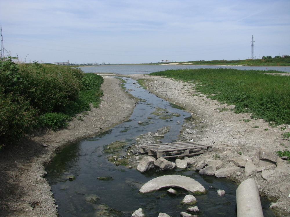 Уровень водохранилищ в сегодня. Цимлянское водохранилище обмелело. Цимлянское водохранилище Котельниково. Цимлянское море мелеет. Волгодонск залив.