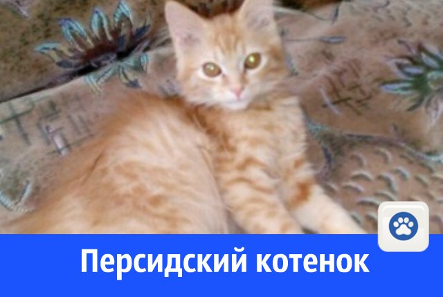 0hfdFiKra9A.jpg 0hfdFiKra9A.jpg