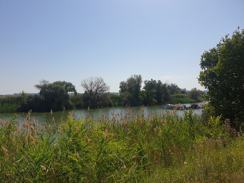 Остров в заливе.jpg