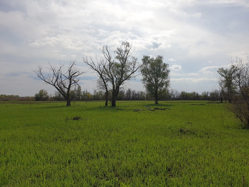 Паевые земли сельхозназначения. Земля сельхозназначения сдам аренду. Земля сельхозназначения сдам аренду. Земля сельхозназначения сдам аренду. 100 гектар земли.