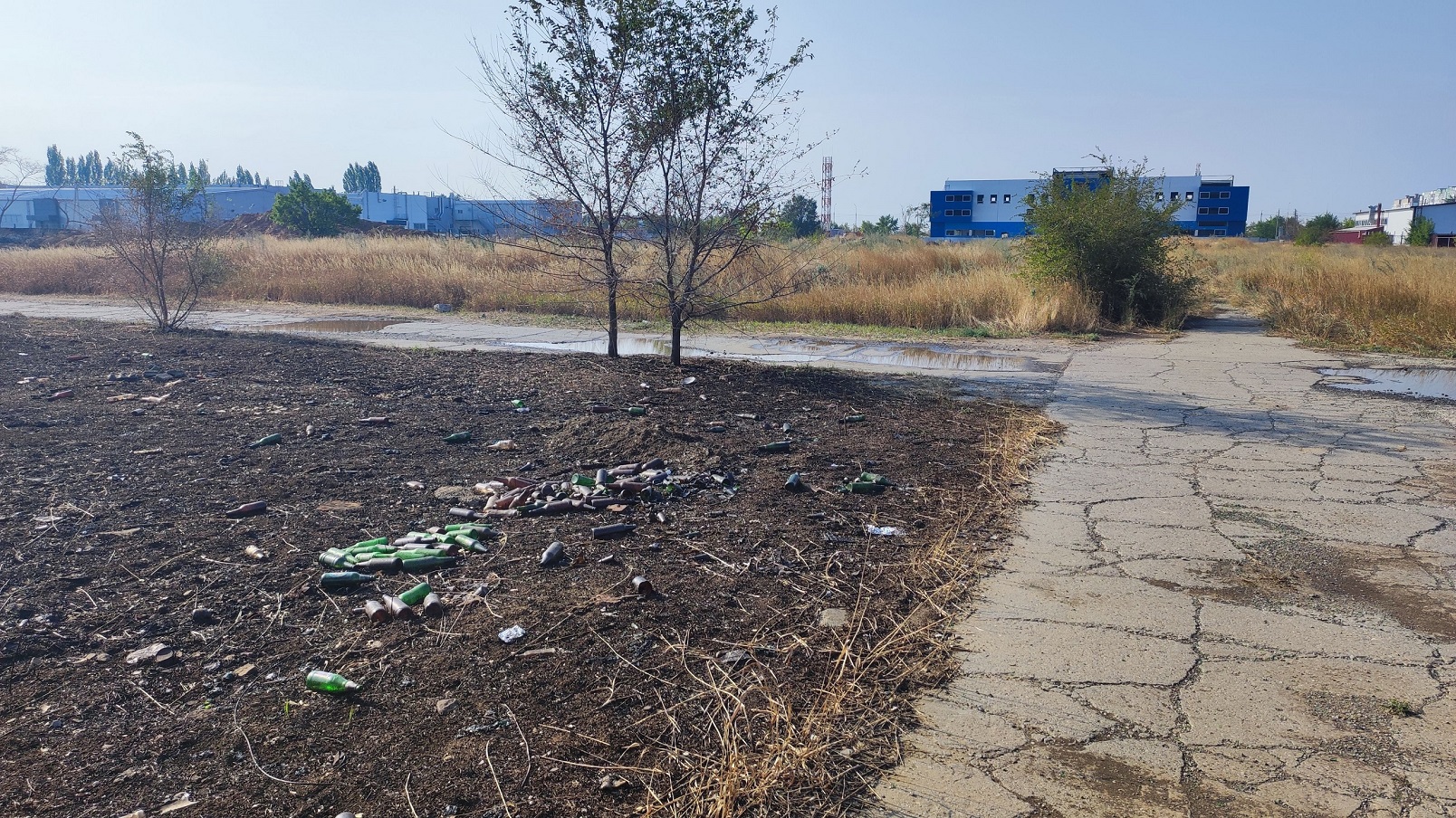 Свалка и заросли в квартале ВЦ-1