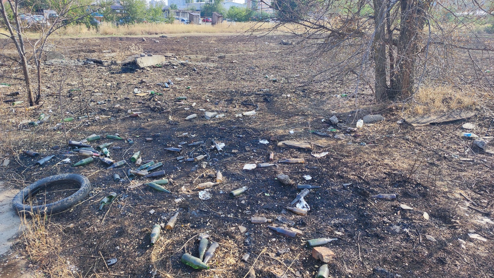 Свалка и заросли в квартале ВЦ-1