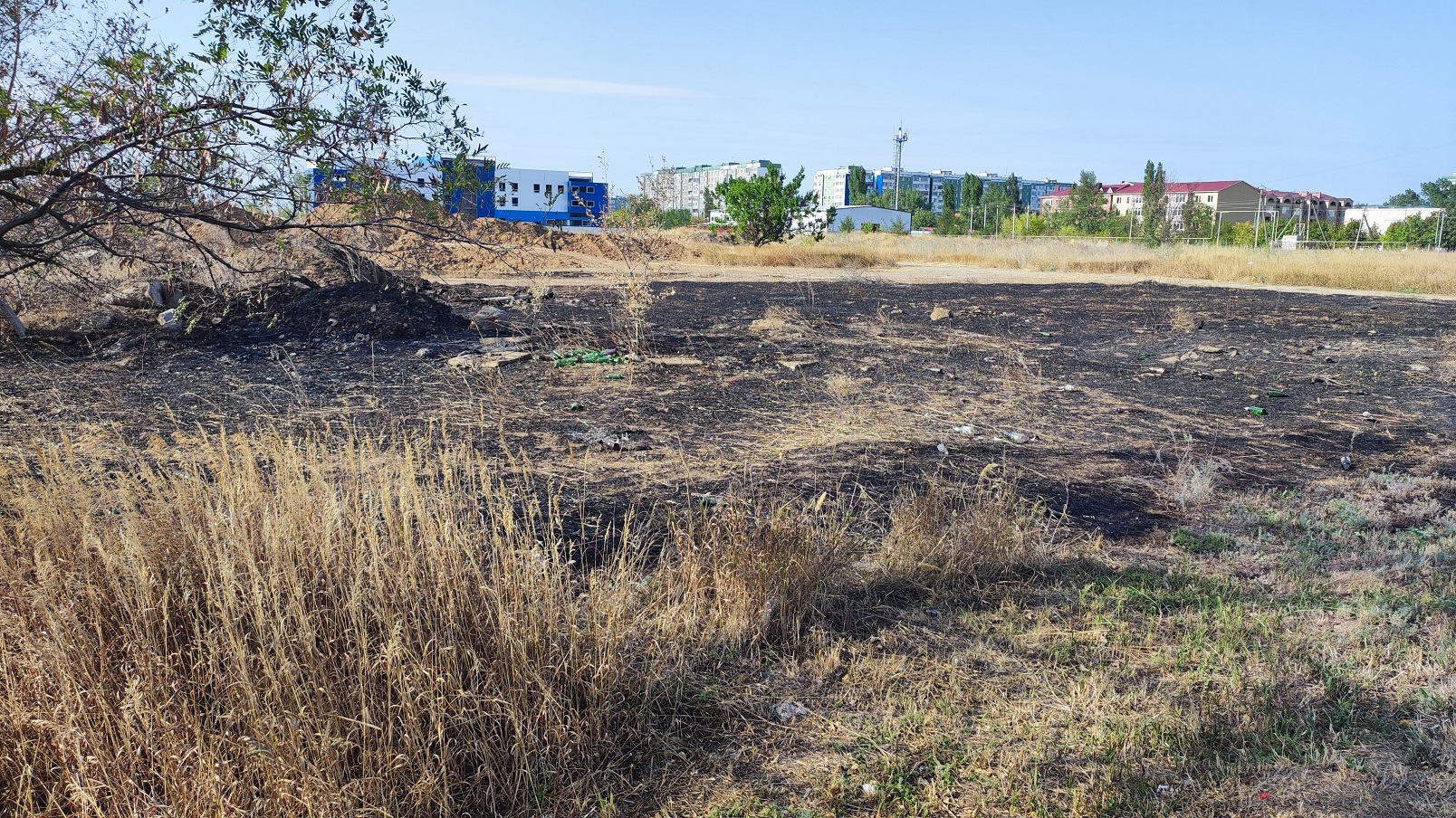 Свалка и заросли в квартале ВЦ-1