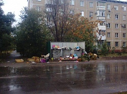 Не город, а мусорная свалка!!!