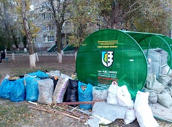 Стыд и позор 