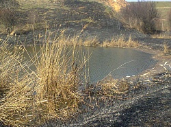 Итоги пожара около 