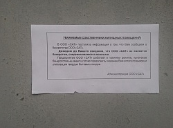 Что творит ООО 