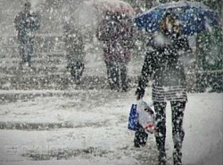 Уважаемые градоначальники!