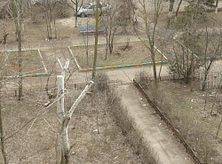 Город зарастает мусором.