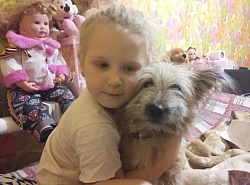 Помогите найти собаку!