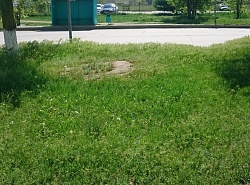 О пешеходных переходах.