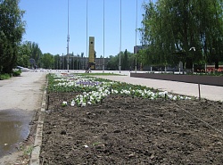 Цветы шагают в город
