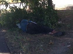 ВОТ ОНО-Доброе утро!!!Вышел с собакой погулять, а тут....