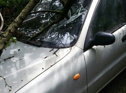 50 лет СССР 5