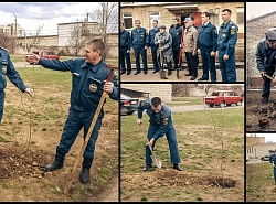 Посадка аллеи Славы ветеранами  пожарной охраны и Великой Отечественной войны