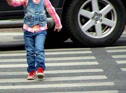 На зебре сбили ребенка