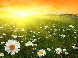 Долго ли нас будут парить отоплением?