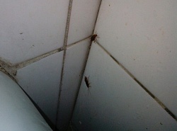 Жесть в больнице!