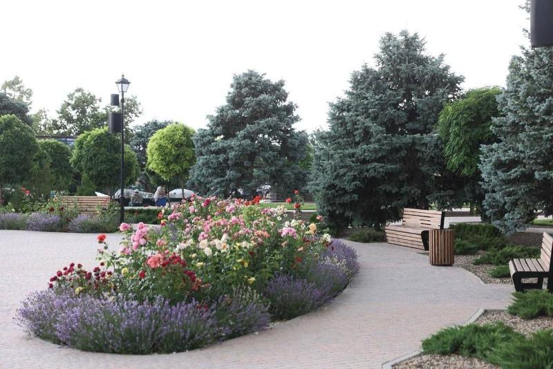 Фото: пресс-служба правительства Ростовской области Фото: пресс-служба правительства Ростовской области