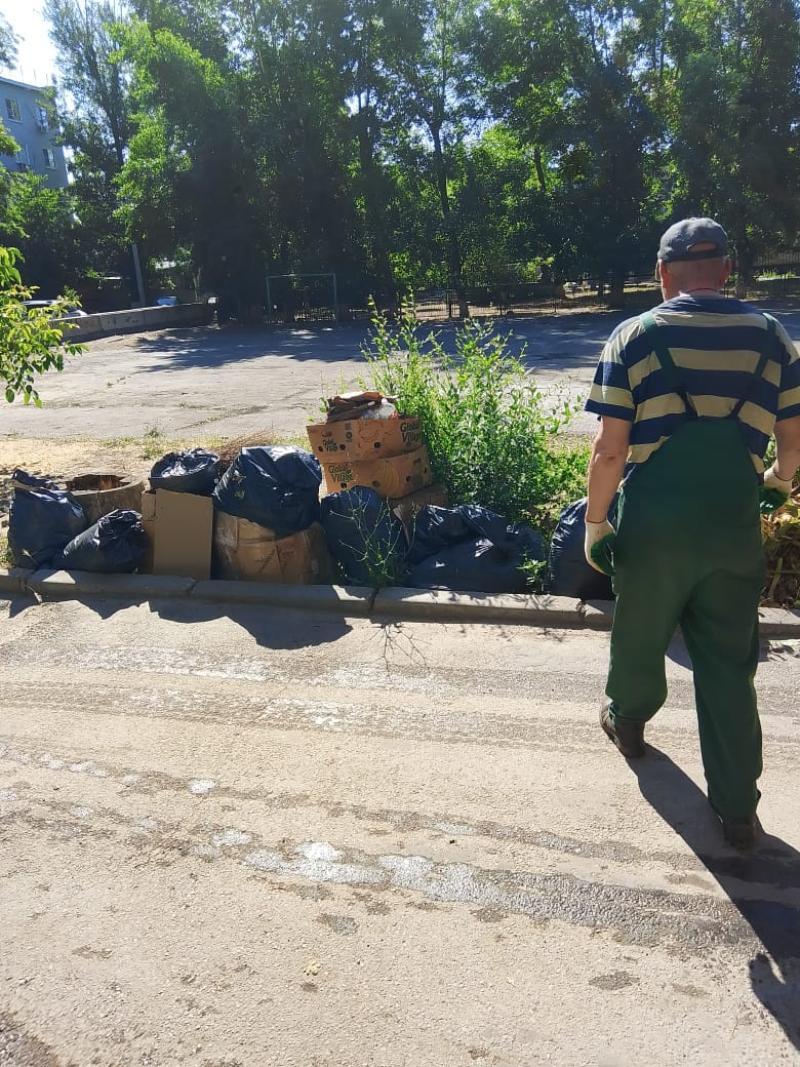 Жильцы слезно просили убрать мусор: сотрудники ДСиГХ устранили свалку во  дворе МКД | 04.06.2024 | Волгодонск - БезФормата