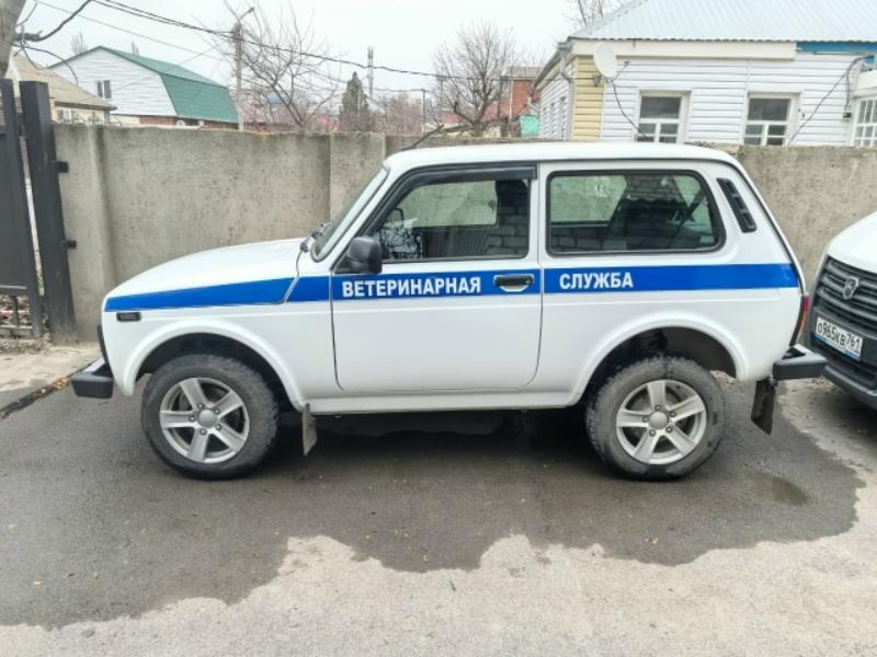 Фото: Вконтакте 