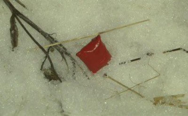 Фото поделилась пресс-служба МВД по Ростовской области